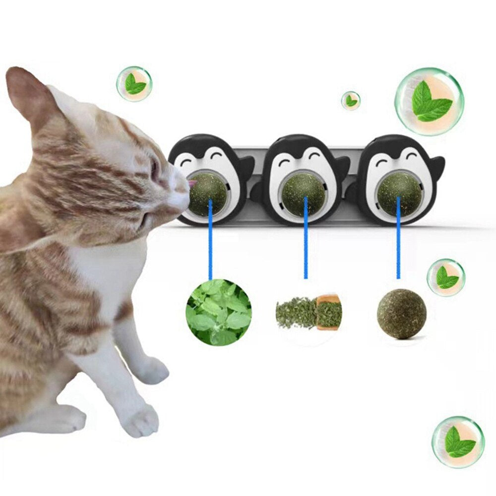 Natural Catnip Toys for Cats Healthy Cat Toys Promote Gastric for Kitten Edible Treating Cat Candy Licking Snacks Cat Supplies