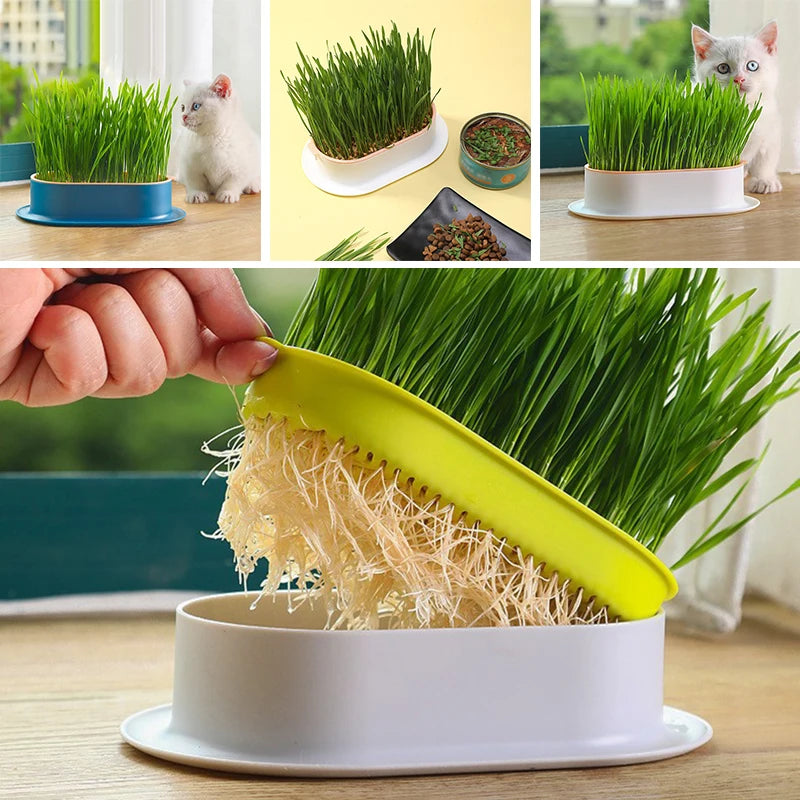 Hydroponic Seedling Tray Creative Cat Snack Catnip Growing Pot Reusable Garden Catnip Growing Bowl Pet Supplies