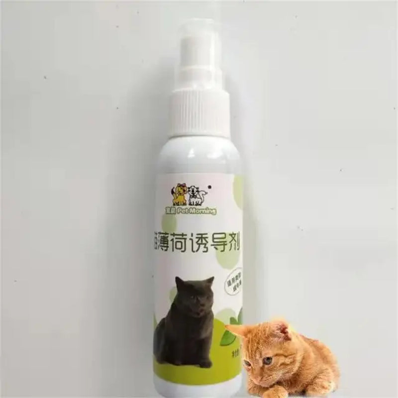 50Ml Cat Catnip Spray Healthy Ingredients Catnip Spray for Kittens Cats & Attractant Easy to Use & Safe for Pets Gifts for Pets