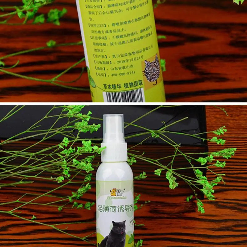 50Ml Cat Catnip Spray Healthy Ingredients Catnip Spray for Kittens Cats & Attractant Easy to Use & Safe for Pets Gifts for Pets