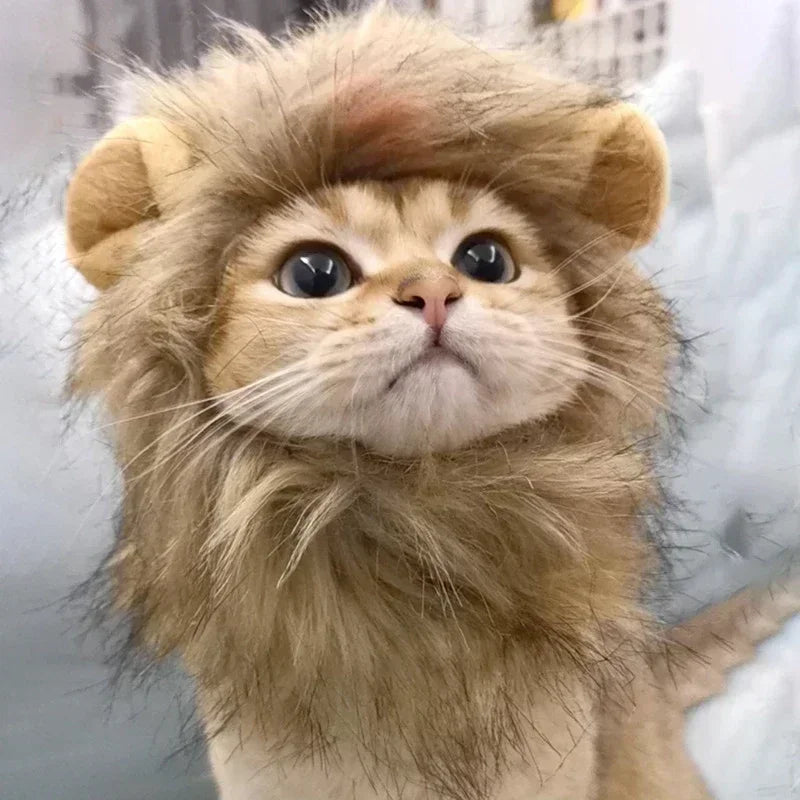 Cat Cosplay Dress up Pet Hat Lion Mane for Cat Puppy Lion Wig Costume Party Decoration Halloween Christmas Gatospet Supplies