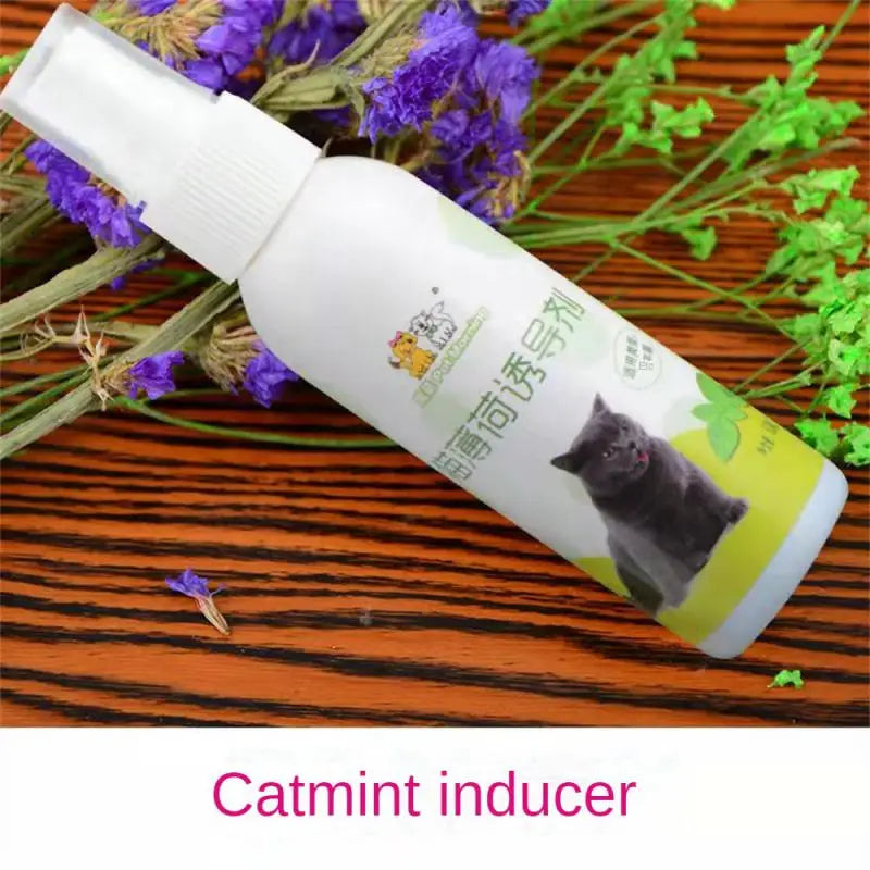 50Ml Cat Catnip Spray Healthy Ingredients Catnip Spray for Kittens Cats & Attractant Easy to Use & Safe for Pets Gifts for Pets